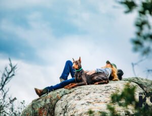 Protection Doberman with owner